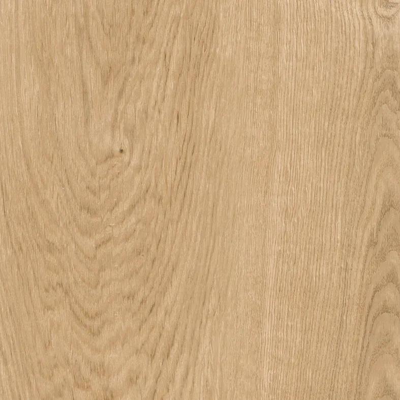 Amazonia, a Tile material by Ceramica Mayor