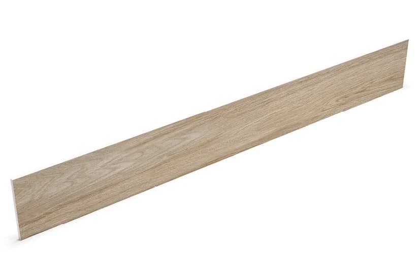 Riser
