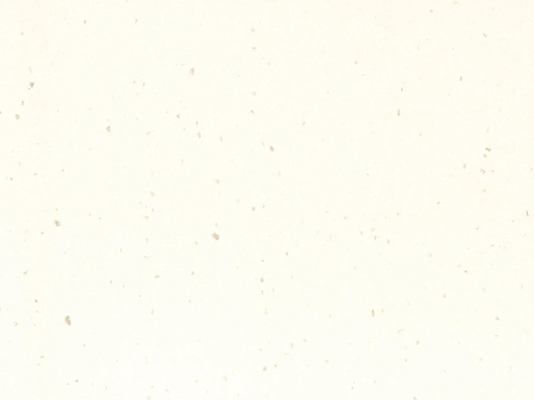 White Jasmine