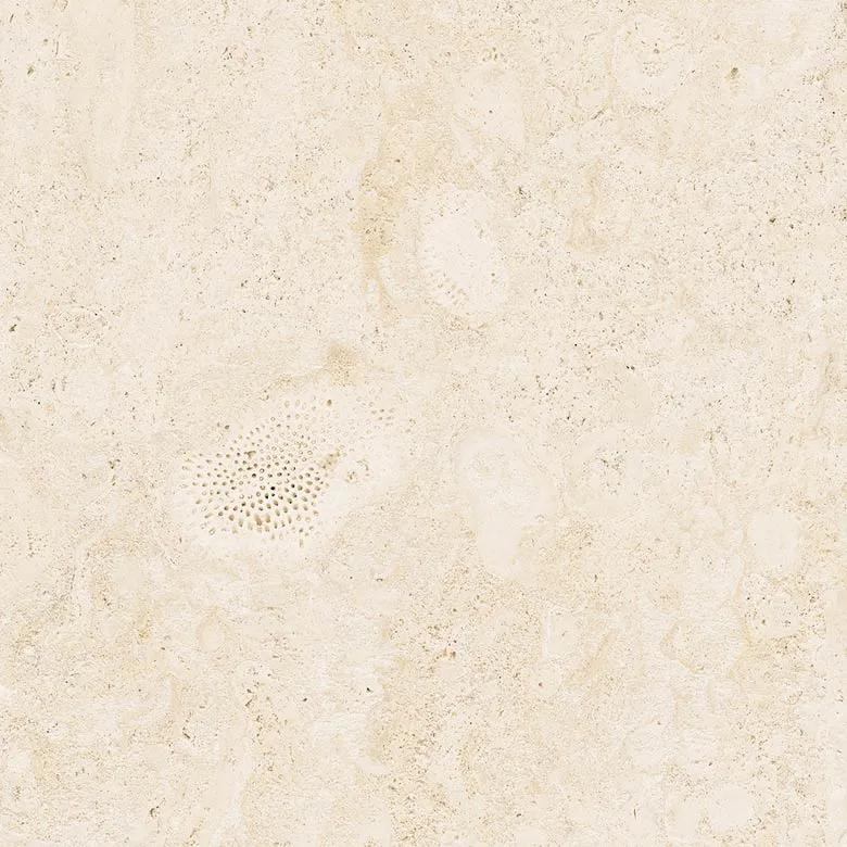 Coralina, a Tile material by Ceramica Mayor