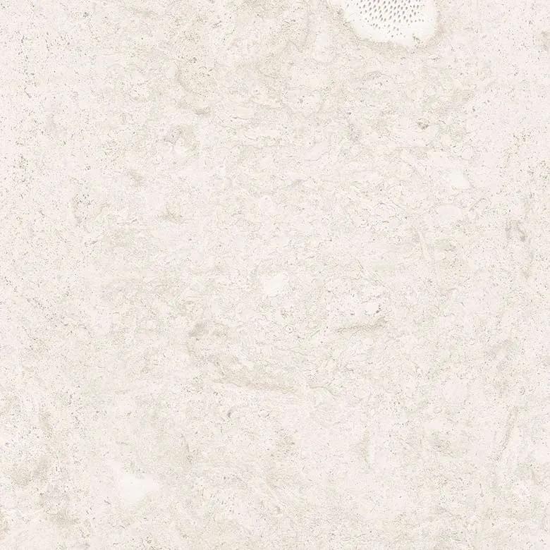 Coralina, a Tile material by Ceramica Mayor