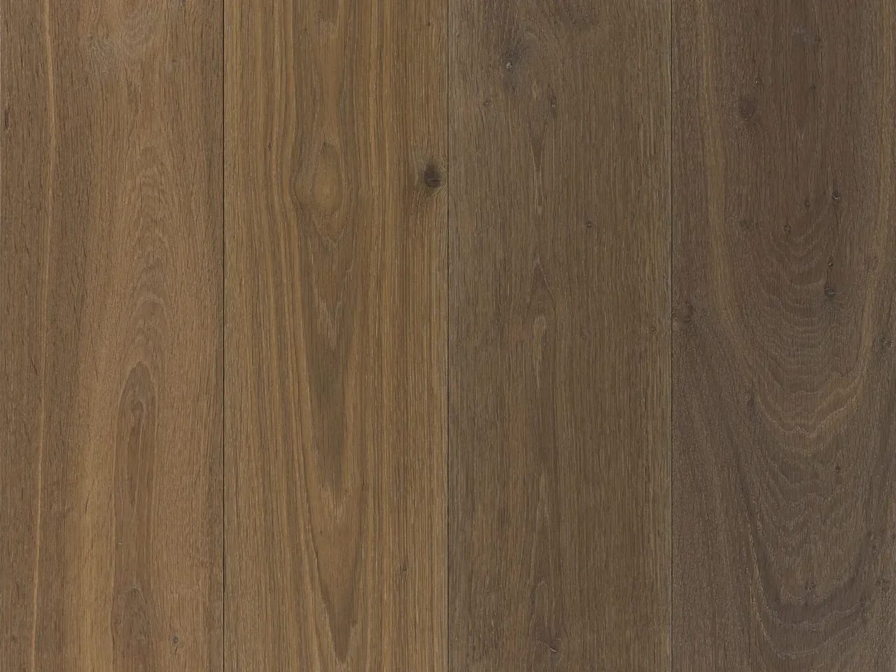 Tempest, a  1 by Hakwood