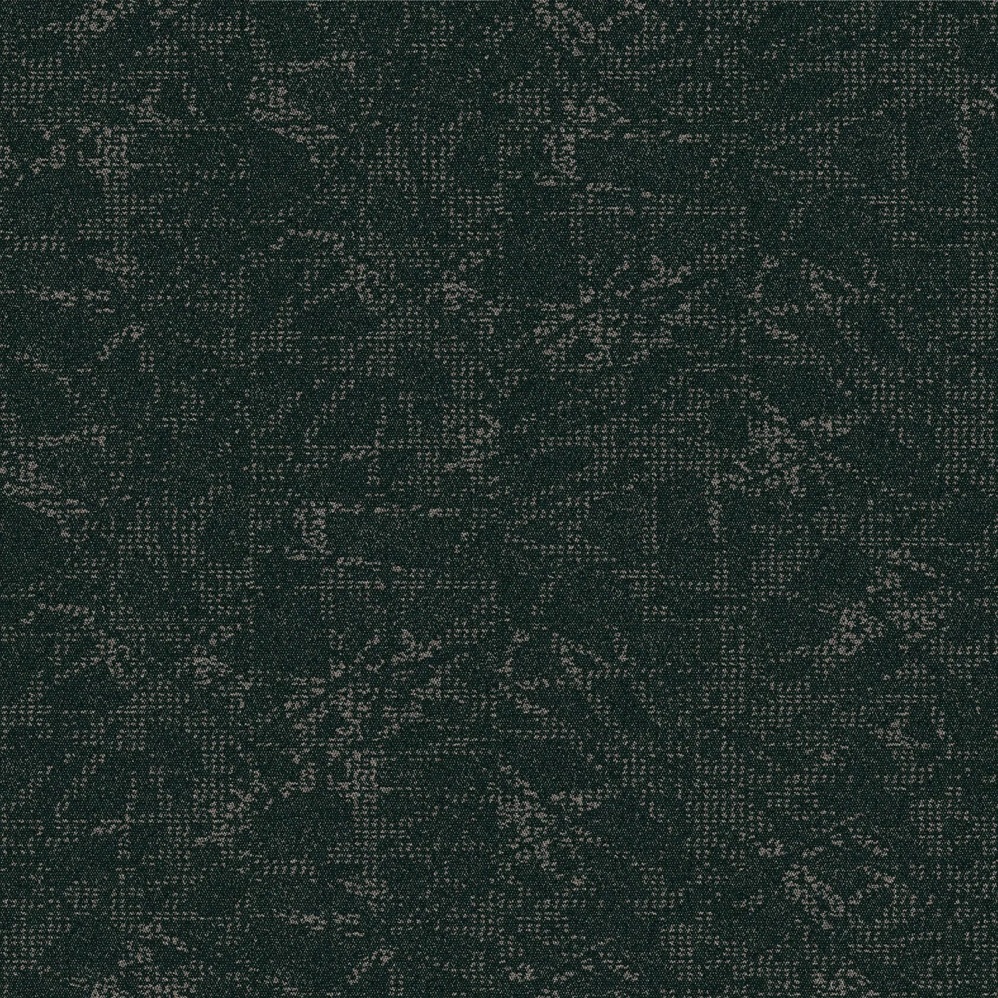 Interpret, a  1 by Interface