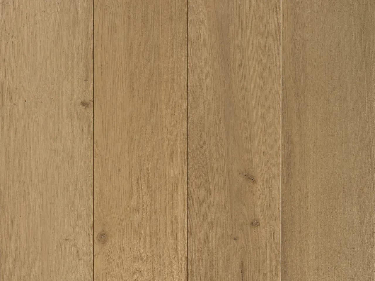 Vanna, a  1 by Hakwood