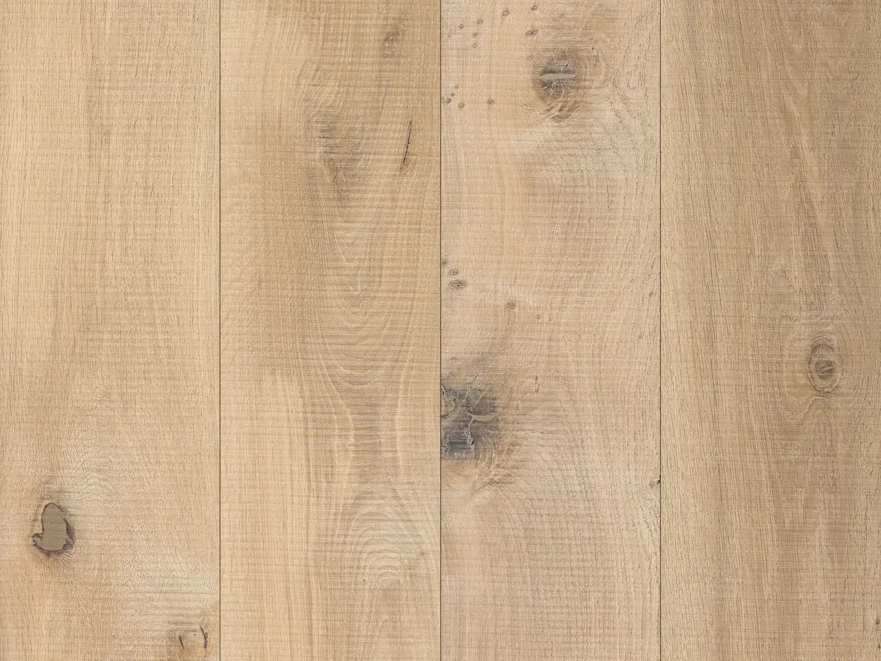 Vivaldi, a  1 by Hakwood