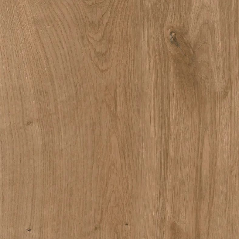 Amazonia, a Tile material by Ceramica Mayor