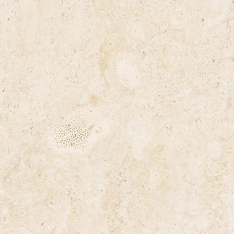 Coralina, a Tile material by Ceramica Mayor