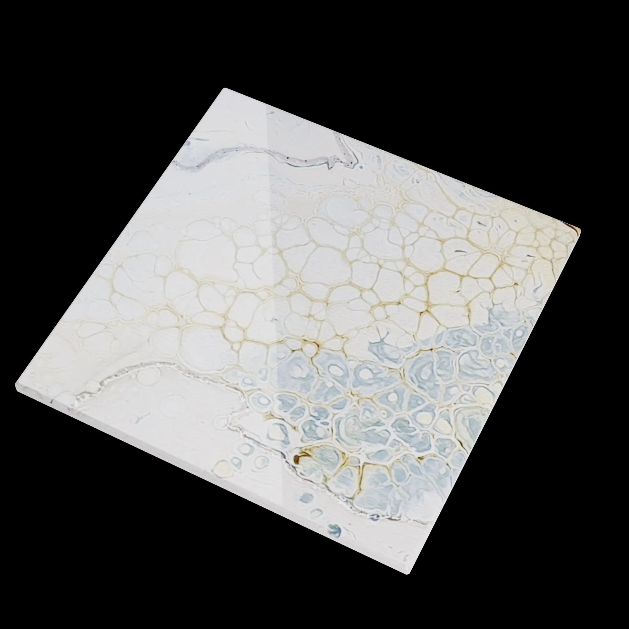 Artist , a  1 by Ceragni