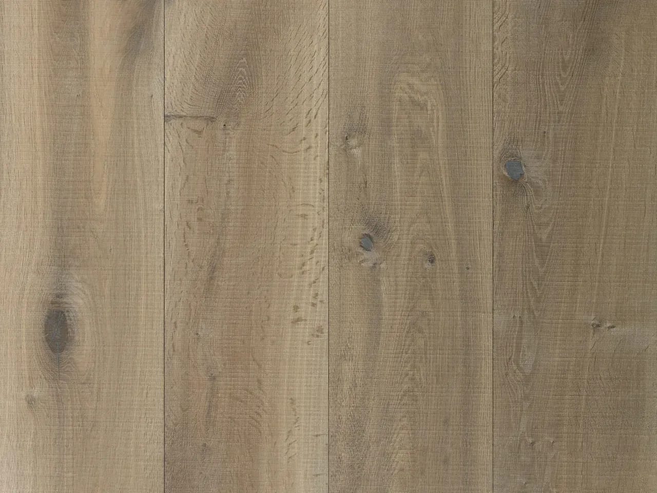 Forza, a 1 by Hakwood