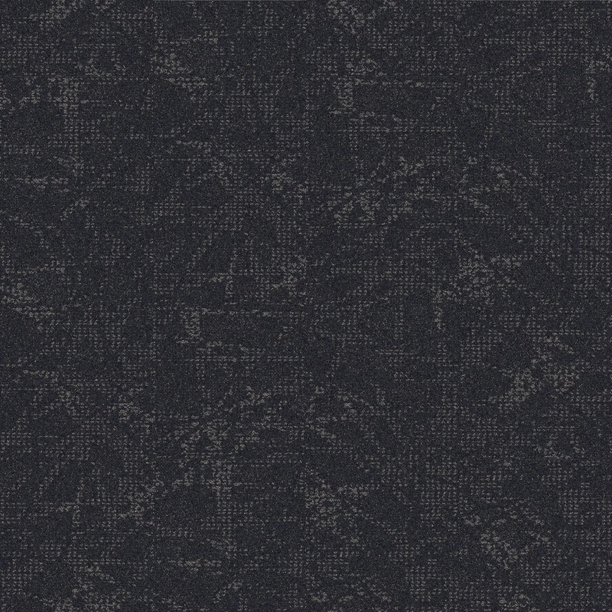 Interpret, a 1 by Interface