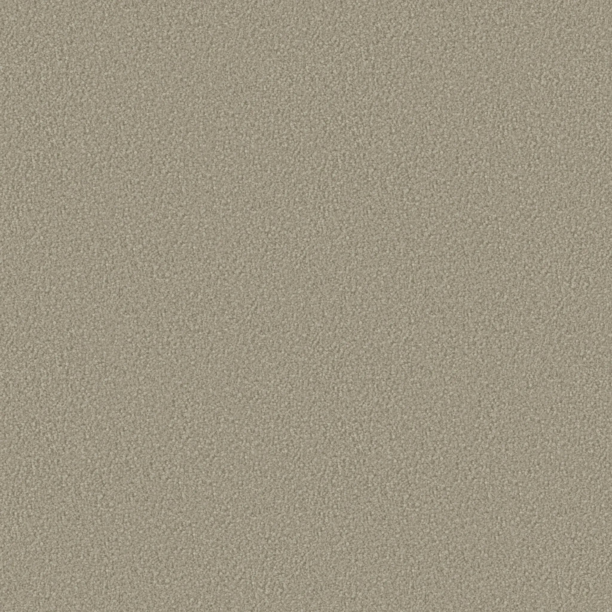 Contract 1000, a Carpet Tile material by Object Carpet